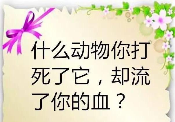 关于足球场的脑筋急转弯的简单介绍