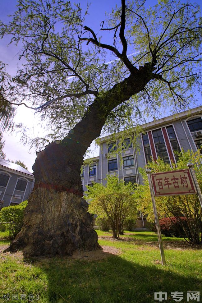 太原科技大学校园足球联赛_山东科技大学泰安校区足球队