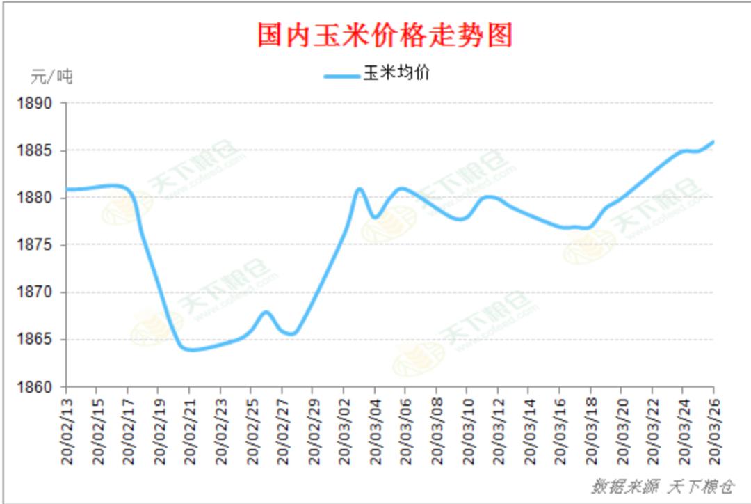 包含19年九月份玉米价格走势的词条