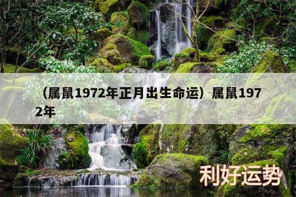 查一下说属鼠的今年命运走势_属鼠的今年运气怎么样2021年