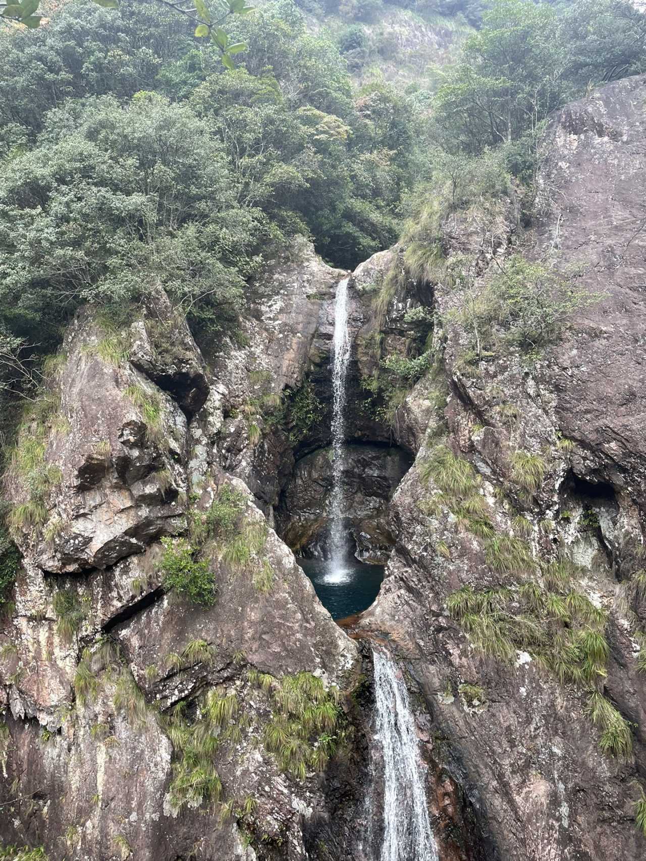 永嘉房价走势最新消息2021_永嘉房价走势最新消息2023年