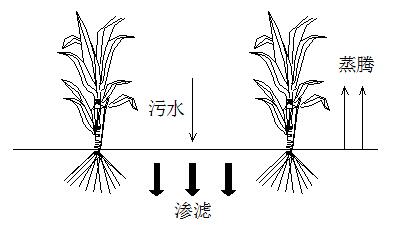 足球0.36的水位什么意思的简单介绍